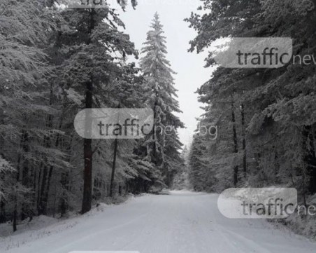 Пловдивчанин е убил приятелката си в Пампорово, после се е самоубил