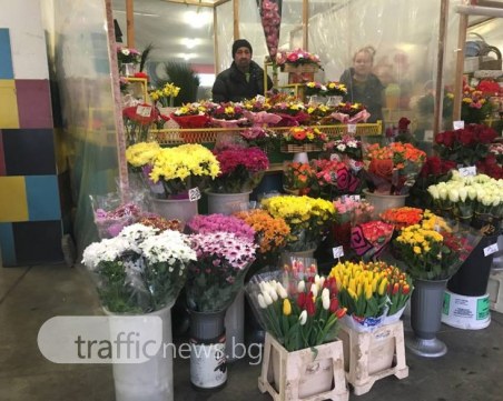 Свети Валентин и Трифон Зарезан под тепетата са в мирно съвместно съжителство ВИДЕО+СНИМКИ