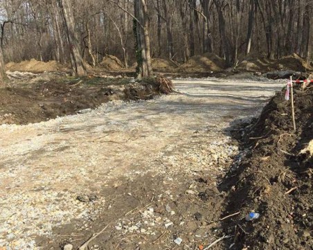 Бързи, смели, сръчни! Строители изсякоха 30 дървета на Гребната, направиха път СНИМКИ