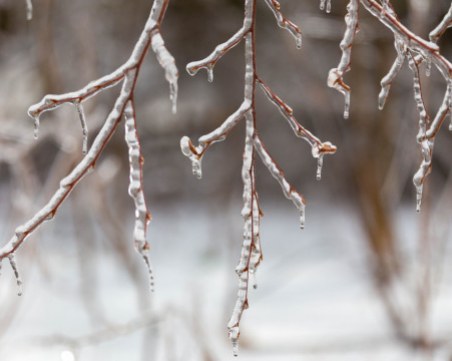 Леден дъжд и снежни вихрушки нападат Пловдив в началото на март!