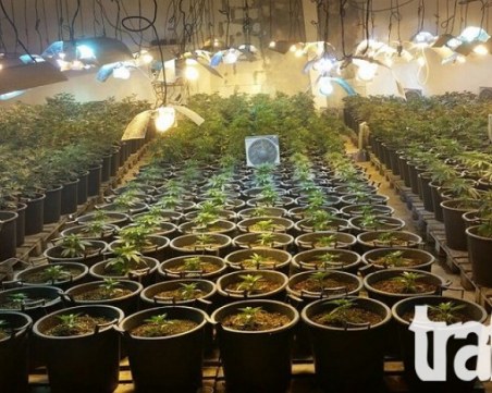 Повдигнаха обвинения на Макаото и още трима души след наркоакцията в Скутаре