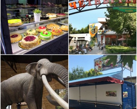 Запечатват заведение в парка с мамутите в Дорково, известна сладкарница в Пловдив също под ударите на данъчните