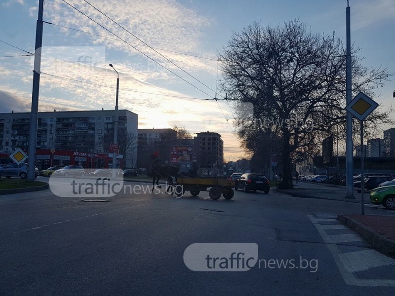 Глобите не плашат ромите: Каруца се намуши в кръстовище в Пловдив в час пик СНИМКИ