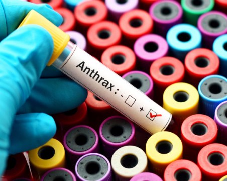 Потвърдиха случай на антракс у нас