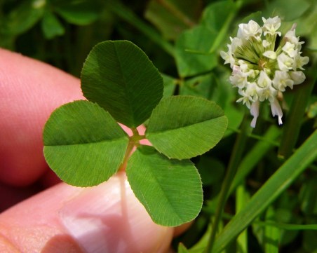 3 начина да привлечете късмета в живота си