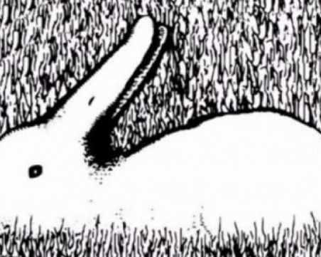 Какво видяхте първо на снимката? Отговорът говори много за вас