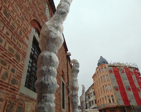 Палми, подарък от Кастро, виреят вече 50 години на Небет тепе СНИМКИ