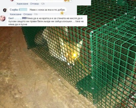 Хванаха в капан лисица край Пловдив, измъчват животното и се канят да го одерат СНИМКИ