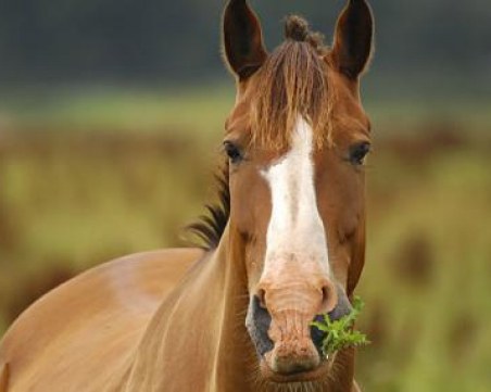 Математическа задача подлуди мрежата, вие ще я решите ли правилно?
