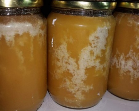 Удар на пчелен мед! Заграбиха рекордните 650 килограма от имот в Бойково