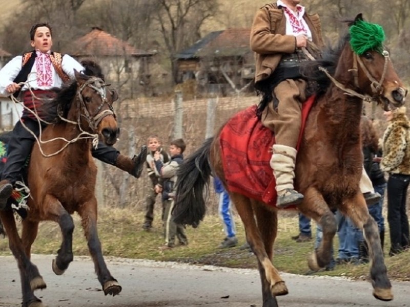 В събота е Тодоровден! Най-добрите коне мерят сили на Графа, в Ново село избират най-грозен кон