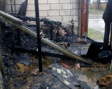 Изверг запали кучкарник на “Animal Hope“, две кучета издъхнаха в страшни мъки