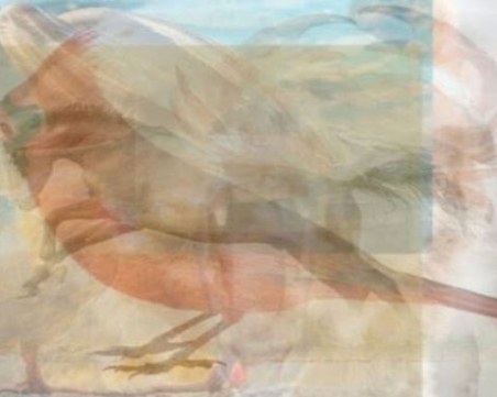 Кое животно виждате? Отговорът говори много за характера ви