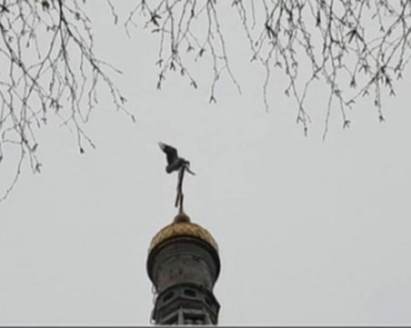 Първите щъркели са вече тук ВИДЕО