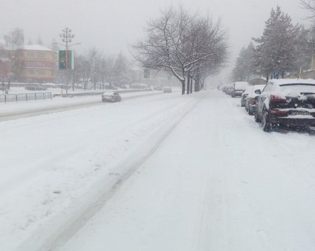 Обявиха дървена ваканция в област до Пловдив СНИМКИ