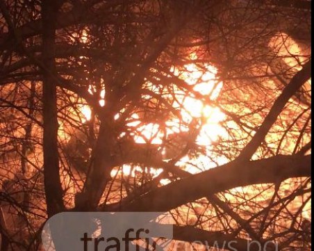 Пожар в Кършияка! Кола избухна в пламъци ВИДЕО