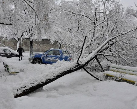 Варненка с 6 счупени ребра след катастрофа, отказа да отиде в болница