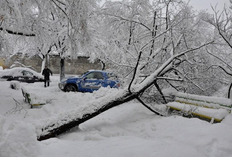 Варненка с 6 счупени ребра след катастрофа, отказа да отиде в болница