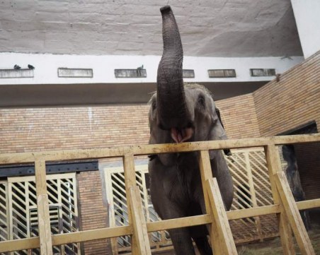 Агенцията по храните затвори Столичния зоопарк