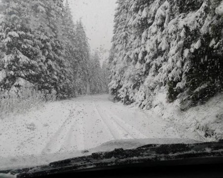 Лавина затвори пътя Пампорово-Смолян през нощта! Блокирана била линейка с болен