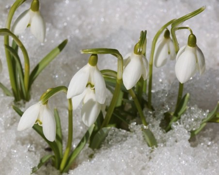 Новият месец носи голяма доза страст и положителни емоции