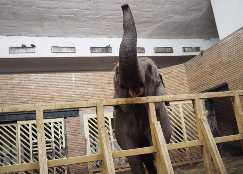 Агенцията по храните затвори Столичния зоопарк