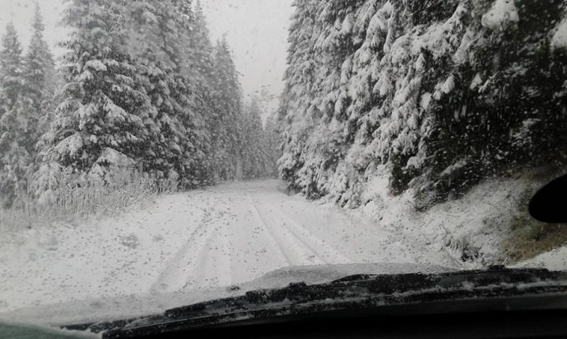 Лавина затвори пътя Пампорово-Смолян през нощта! Блокирана била линейка с болен