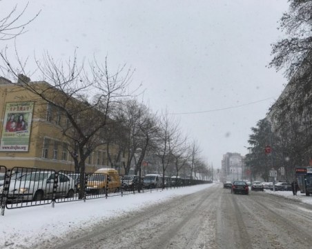 Паяци дебнат за нарушители в новата част на “Васил Априлов“