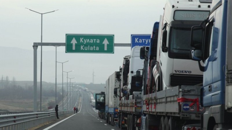 41 мигранти са задържани на 