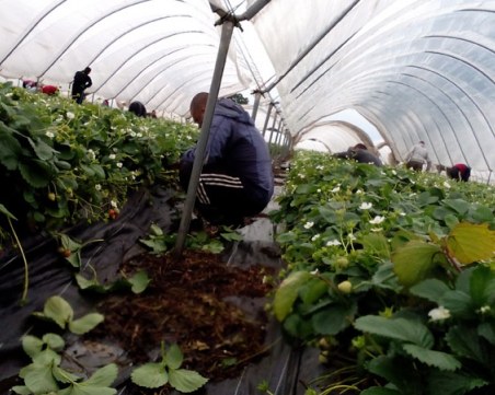 Край на по-ниското заплащане за източноевропейците