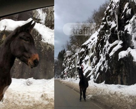 Катър припка по пътя Пловдив - Пампорово СНИМКИ