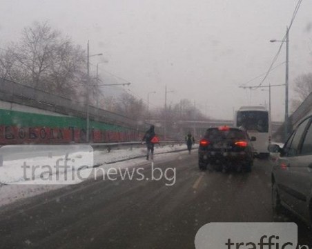 Започват мащабен ремонт на бул. “Христо Ботев“! 7,5 милиона ще бъдат изхарчени за преобразяването му