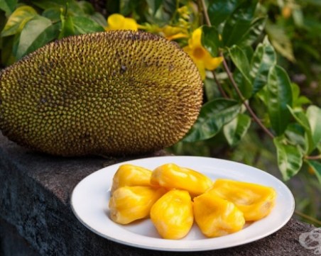 Учени решиха проблема със световния глад, откриха нов плод