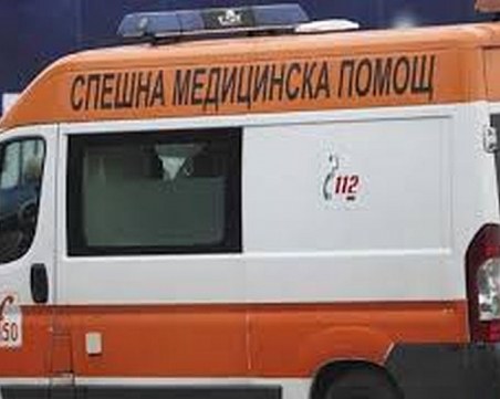 Куче нахапа зверски собственика си в пловдивско село, мъжът е в болница