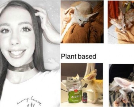 Жена умори домашния си любимец - превърна го във веган