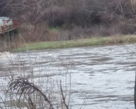 Река Тимок на косъм от преливане, бедствено положение в Брегово