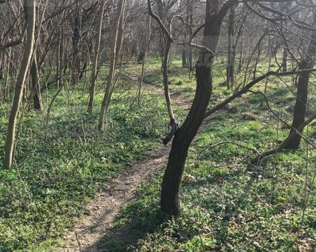 Ексхибиционист плаши дами в Лаута, монтира си и секс играчка на една от алеите