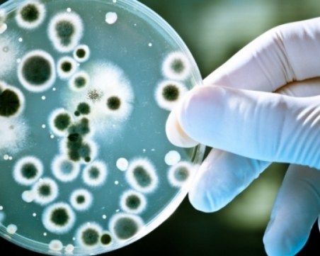 Мистериозната “Болест X“ може да бъде следващата глобална и смъртоносна пандемия