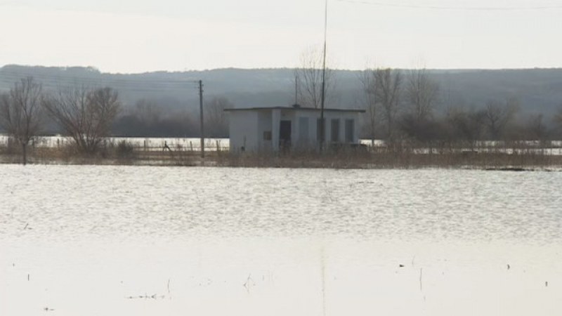 Река Тимок излезе от коритото си! Остава бедственото положение в Брегово