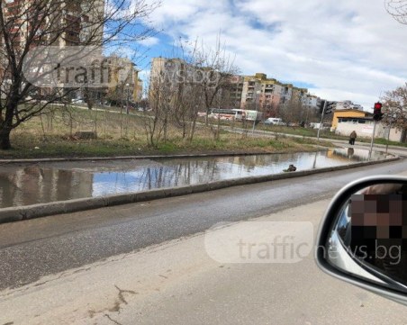 Това не е езеро, а тротоар в Кючука! Но пак ще ви трябват плавници…