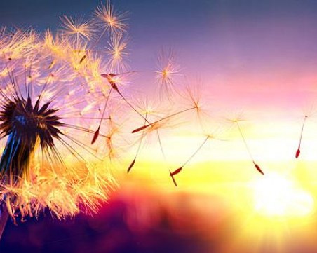 Днес всички добри дела се възвръщат стократно