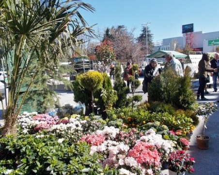 Оригинални идеи за украса на дома и градината показват в Панаира