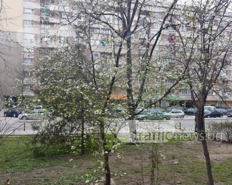 Необичайно топло време утре в Пловдив, след това - дъжд и студ