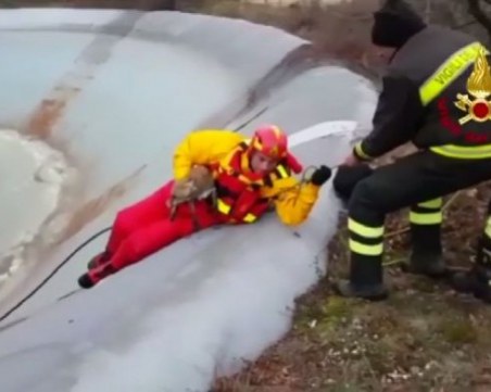 Пожарникари спасиха лисица от ледена клопка ВИДЕО