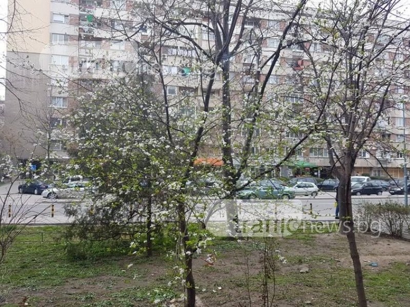 Необичайно топло време утре в Пловдив, след това - дъжд и студ