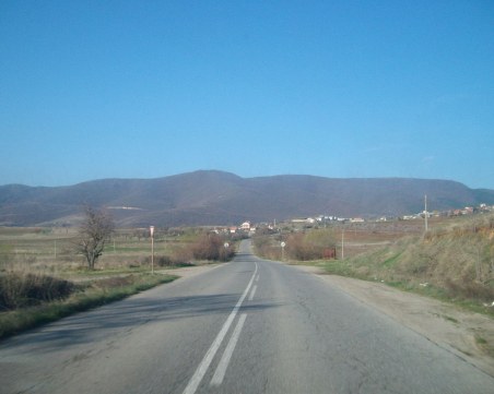 Глутница кучета тероризира цяло село