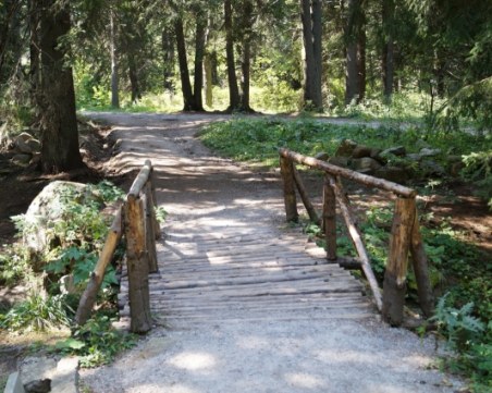 Мъж се пусна дибидюс, разходи се в парк пред десетки минувачи СНИМКА