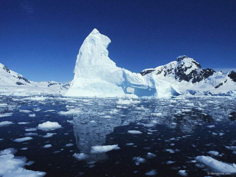 Наша писателка преживяла трагедия на връщане от Антарктида