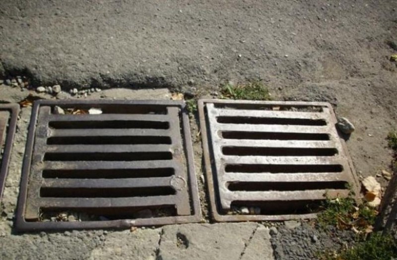 Започва борба срещу комарите и гризачите в Пловдив! Не паркирайте върху шахтите