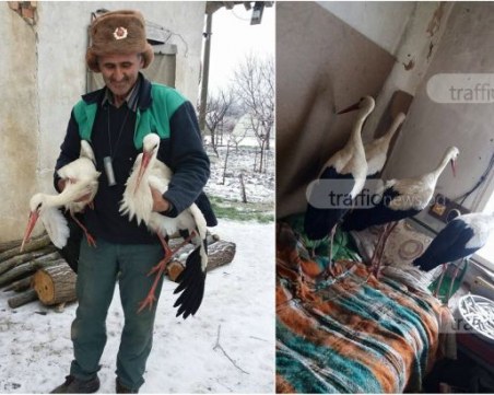 Ето го спасителя на четирите щъркелчета